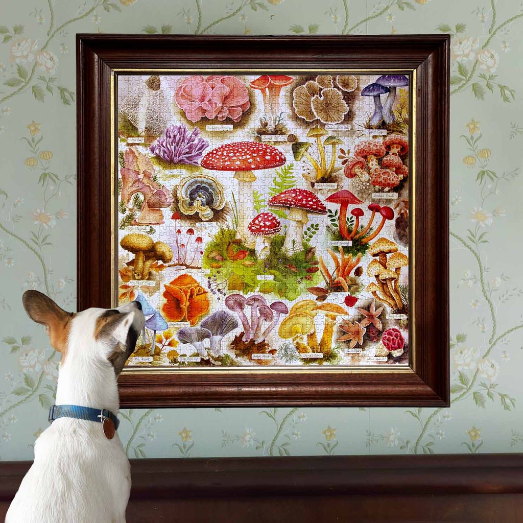 Puzzle 1000 piezas: Bountiful Mushrooms