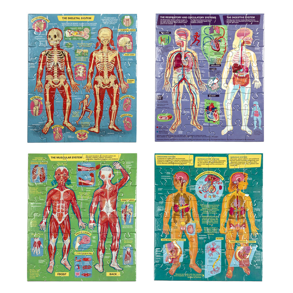 Set de 4 puzzles de 48 piezas Anatomía Humana