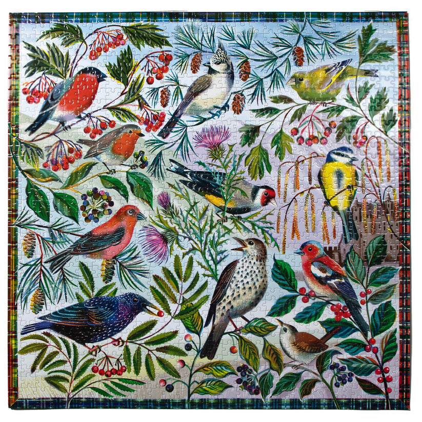 Puzzle 1000 piezas: Aves de Escocia