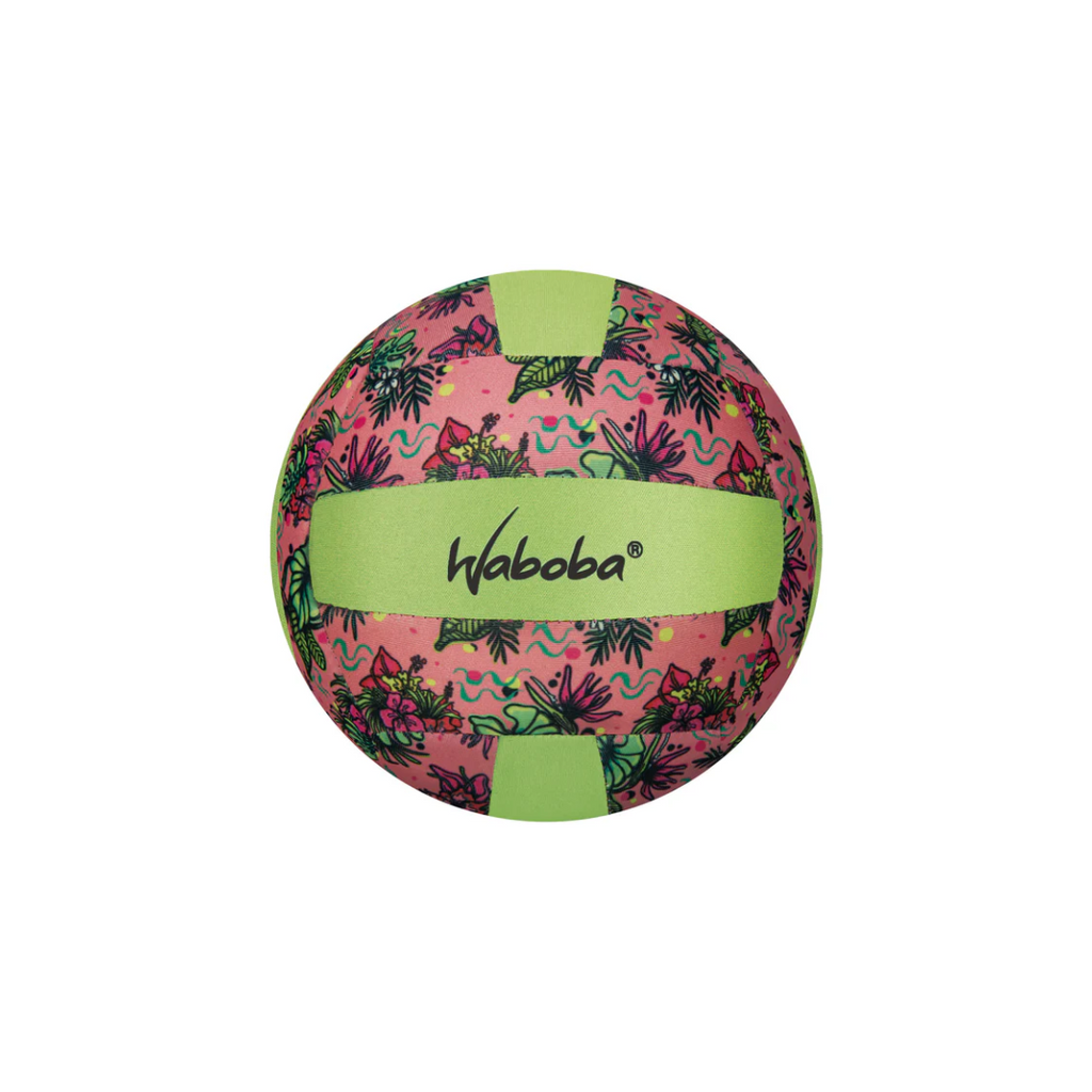 Pelota de voleibol playera