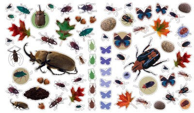 Libro Eyelike Stickers: Insectos