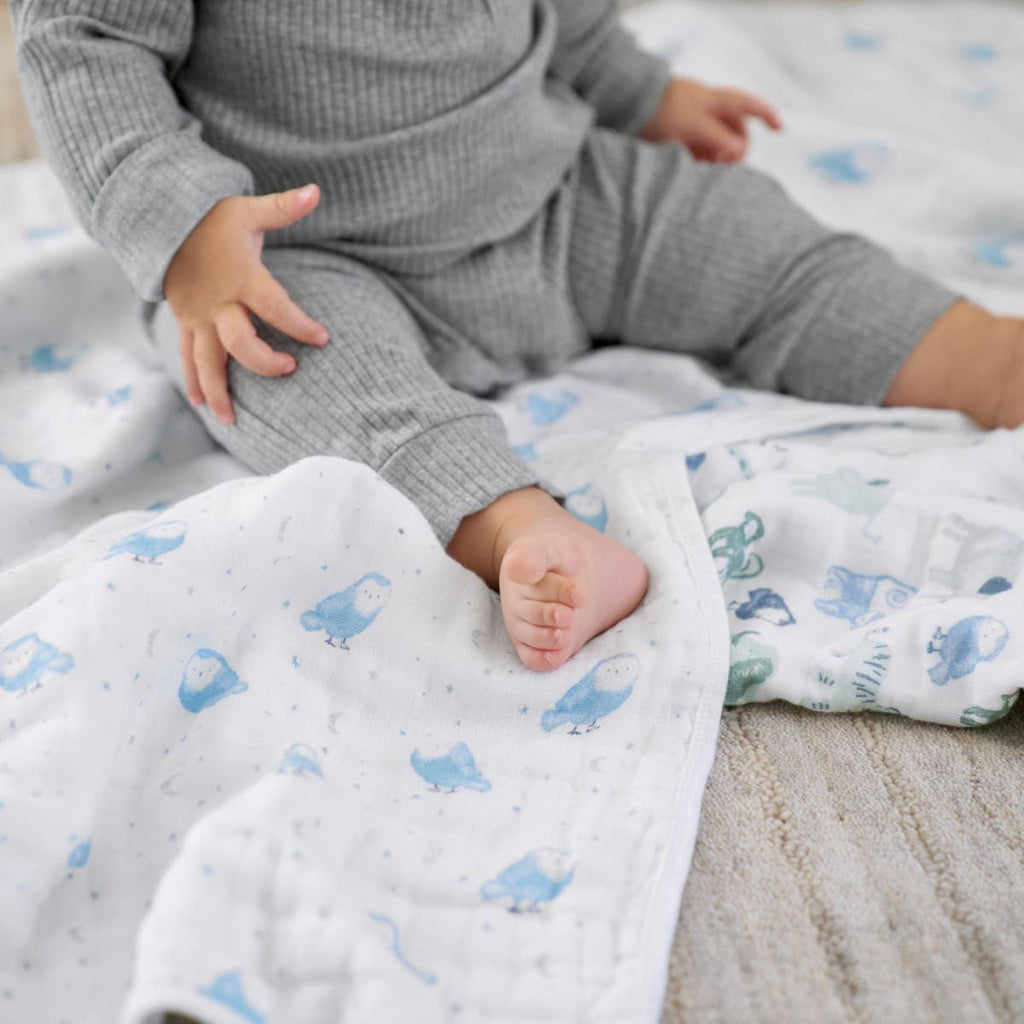 Swaddle 2 pack - Time to dream