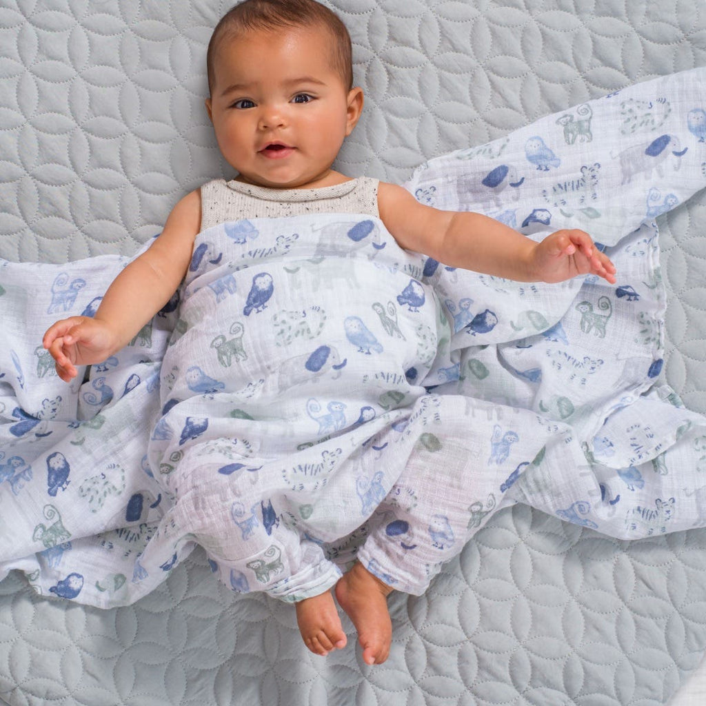 Swaddle 2 pack - Time to dream