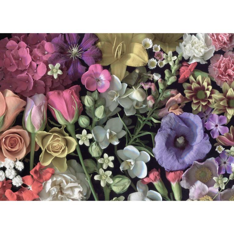Puzzle 1000 piezas Flowers
